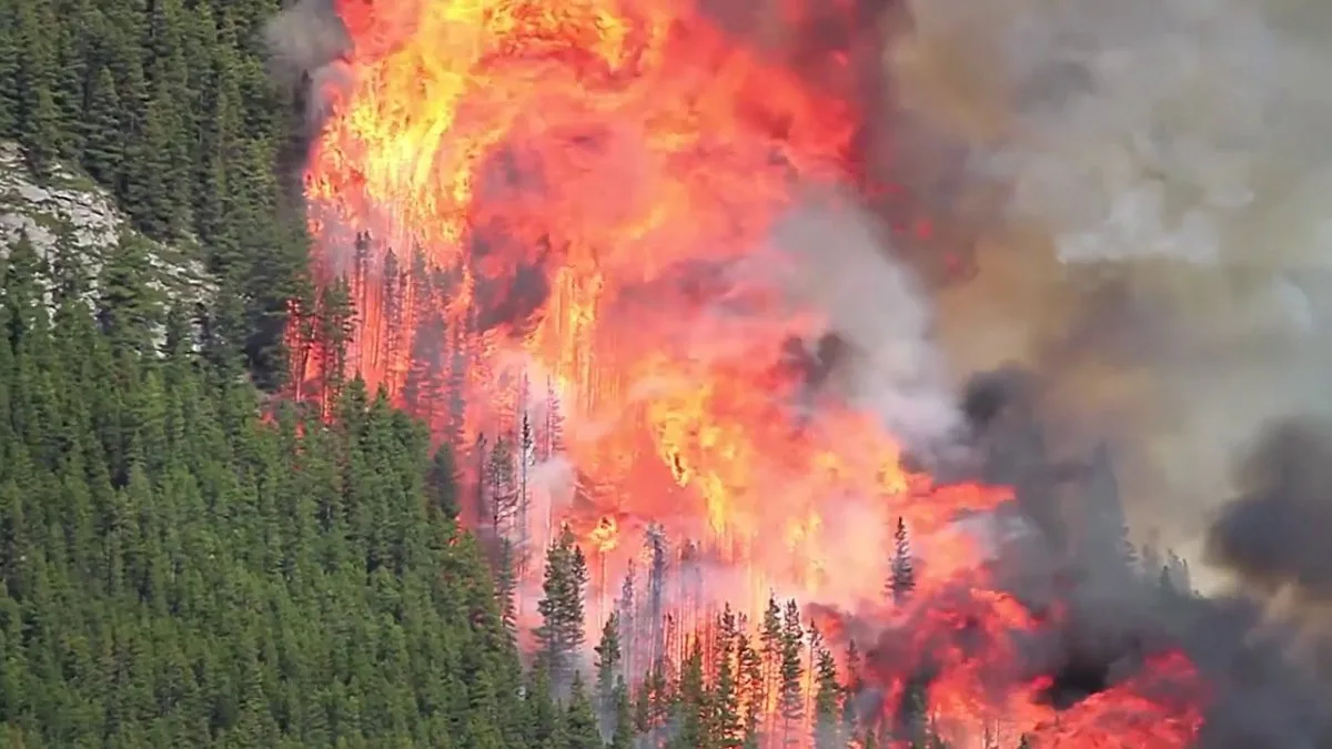 Ελεγχόμενη φωτιά για την πρόληψη πυρκαγιών: Πώς η Ελλάδα θεσμοθετεί για πρώτη φορά την προδιαγεγραμμένη καύση