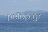 Φωτιά στην Αιγιάλεια: Ισχυρή κινητοποίηση της Πυροσβεστικής ΦΩΤΟ ΒΙΝΤΕΟ