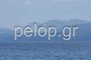 Φωτιά στην Αιγιάλεια: Ισχυρή κινητοποίηση της Πυροσβεστικής ΦΩΤΟ ΒΙΝΤΕΟ