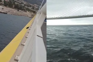 Γάτα έπεσε από τη Γέφυρα Ρίου-Αντιρρίου