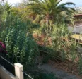 Πάτρα - «Βέλη» Οικονόμου στο Δήμο για το Sense City: «Να μην κοροϊδεύουν τους πολίτες»