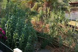 Πάτρα – «Βέλη» Οικονόμου στο Δήμο για το Sense City: «Να μην κοροϊδεύουν τους πολίτες»