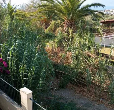 Πάτρα - «Βέλη» Οικονόμου στο Δήμο για το Sense City: «Να μην κοροϊδεύουν τους πολίτες»