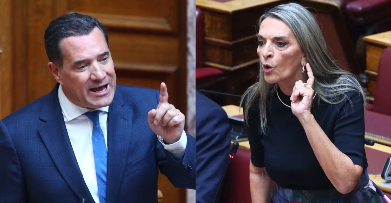 Ένταση ανάμεσα σε Άδωνι Γεωργιάδη και Πέτη Πέρκα: «Πήγατε για τη selfie στη Γάζα»