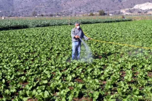 Αναβρασμός και ανησυχία στον αγροτικό κόσμο για τις καθυστερήσεις στις πληρωμές των επιδοτήσεων