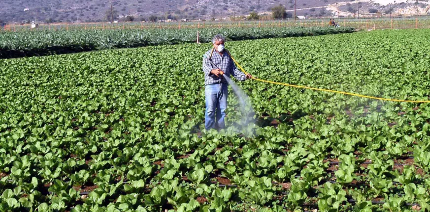 Αναβρασμός και ανησυχία στον αγροτικό κόσμο για τις καθυστερήσεις στις πληρωμές των επιδοτήσεων