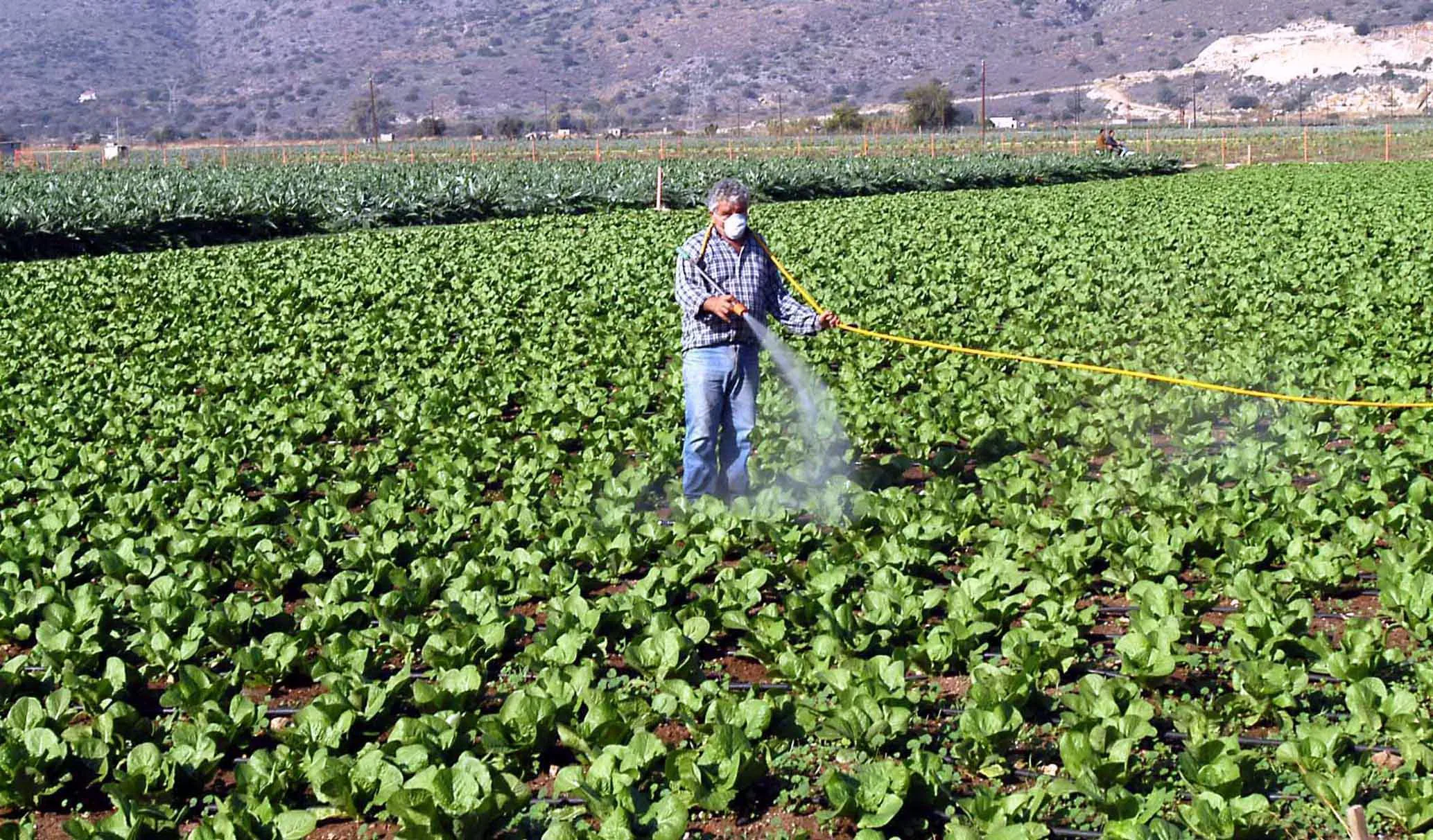 Αναβρασμός και ανησυχία στον αγροτικό κόσμο για τις καθυστερήσεις στις πληρωμές των επιδοτήσεων