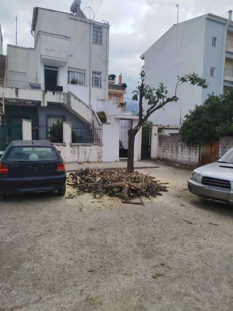 Πάτρα: Έκοψε δέντρα στην πλατεία Ελευθερίας και επέστρεψε νύχτα για να ολοκληρώσει τον βανδαλισμό ΦΩΤΟ