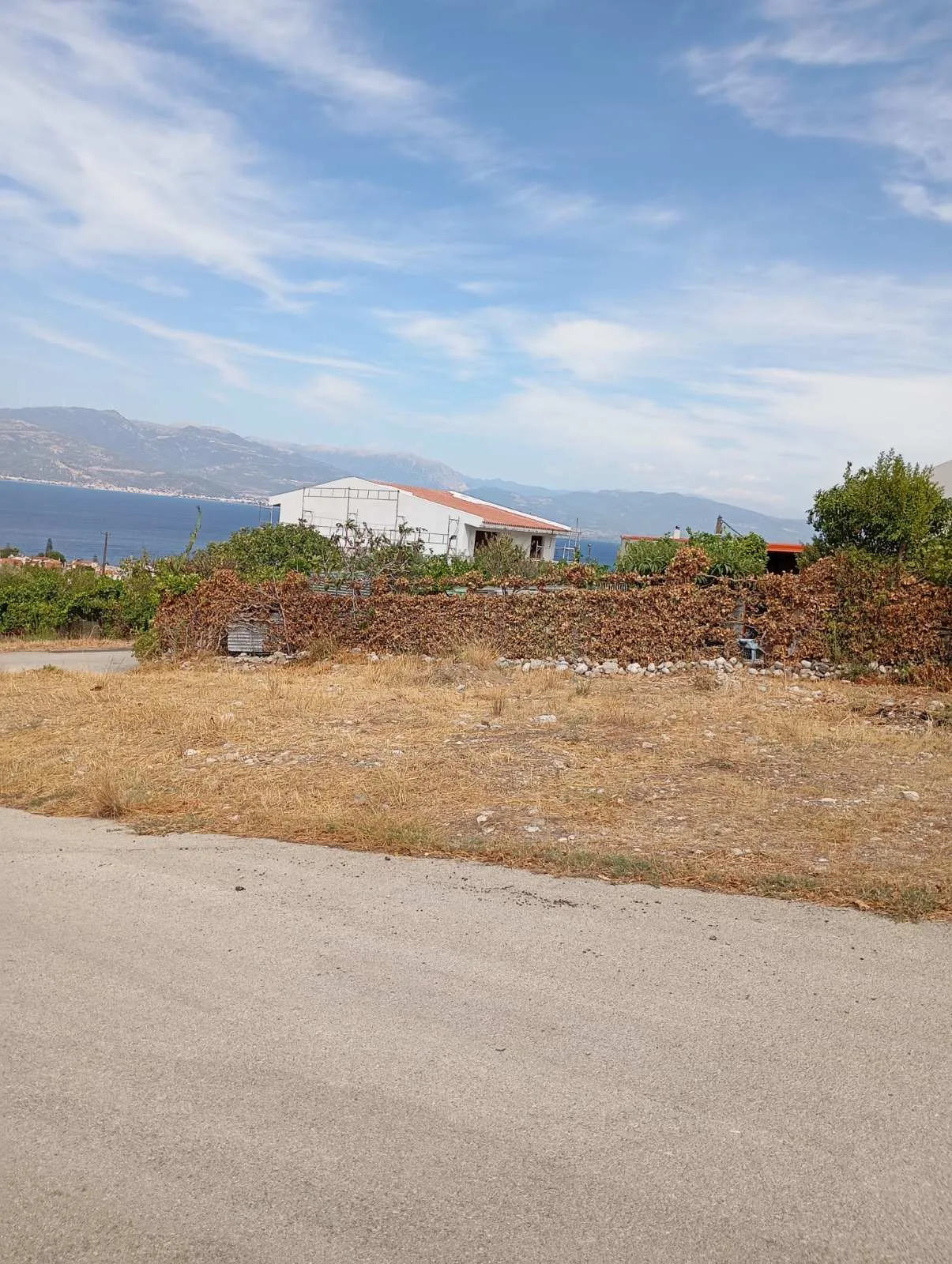 ΠΛΑΤΑΝΙ ΡΙΟΥ