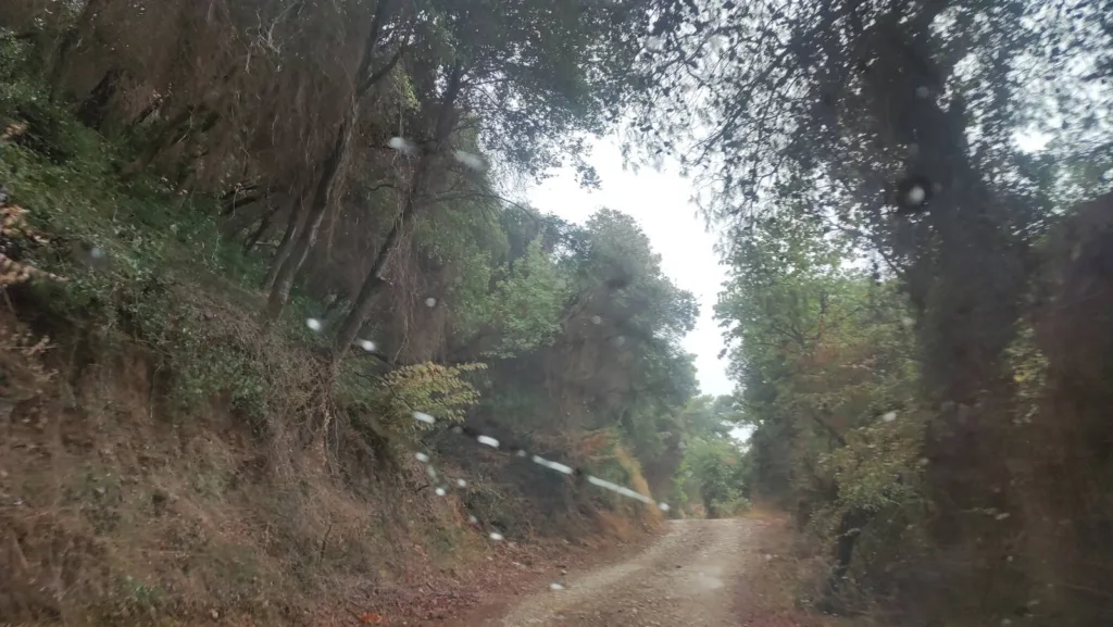 Πάτρα - Αυτοψία στο Άνω Καστρίτσι: «Κάντε κάτι, θα καούμε!» - Χωρίς αντιπυρικές ζώνες το πευκοδάσος Καρκαλού