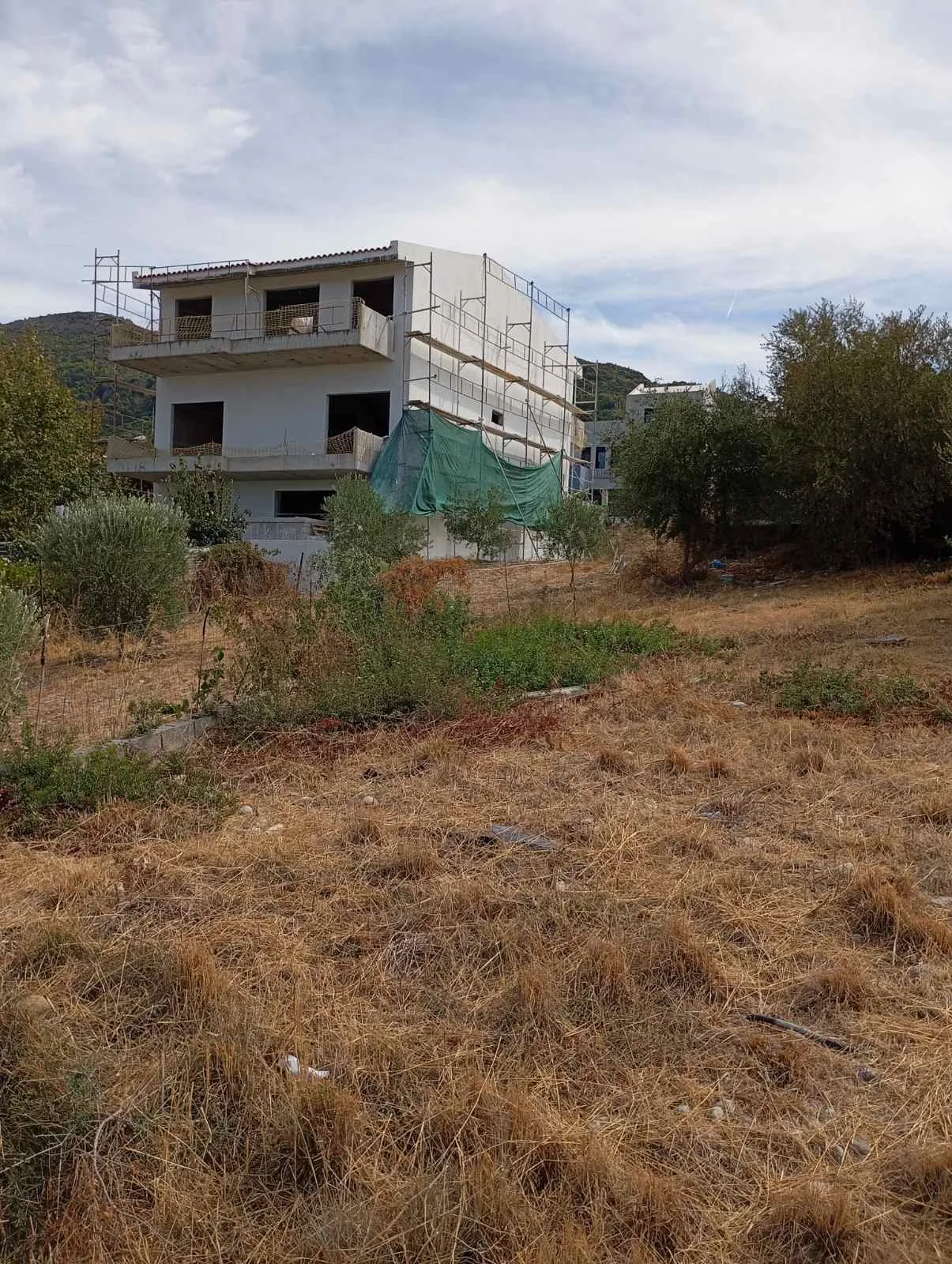 ΠΛΑΤΑΝΙ ΡΙΟΥ