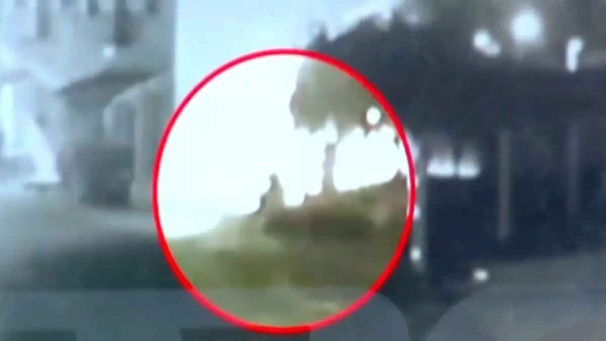 «Ο νεκρός έχει το όπλο μου. Φοβόταν και μου το ζήτησε για να μπορέσει να κοιμηθεί», νέα μαρτυρία για Φοινικούντα «Ο νεκρός έχει το όπλο μου. Φοβόταν και μου το ζήτησε για να μπορέσει να κοιμηθεί», νέα μαρτυρία για Φοινικούντα