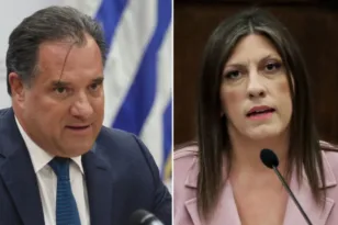 Γεωργιάδης: «Η Κωνσταντοπούλου οργάνωσε την απεργία πείνας Ρούτσι»