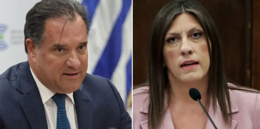 Γεωργιάδης: «Η Κωνσταντοπούλου οργάνωσε την απεργία πείνας Ρούτσι»