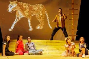 Πάτρα: Το «Καπλάνι της Βιτρίνας» την Κυριακή 19/10