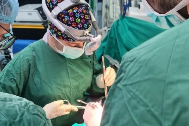 Ποια είναι η πρώτη γυναίκα χειρουργός μεταμοσχεύσεων ήπατος στην Ελλάδα ΦΩΤΟ