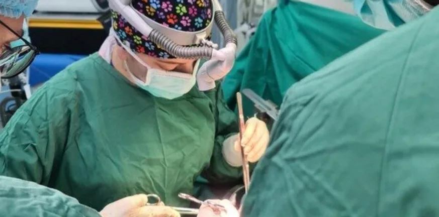 Ποια είναι η πρώτη γυναίκα χειρουργός μεταμοσχεύσεων ήπατος στην Ελλάδα ΦΩΤΟ Ποια είναι η πρώτη γυναίκα χειρουργός μεταμοσχεύσεων ήπατος στην Ελλάδα ΦΩΤΟ