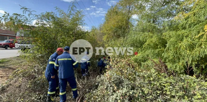 Καστοριά: Νεκρός 76χρονος σε τροχαίο στην Επαρχιακή Οδό προς Αμύνταιο Καστοριά: Νεκρός 76χρονος σε τροχαίο στην Επαρχιακή Οδό προς Αμύνταιο