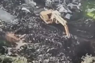 Τεράστια περιβαλλοντική ρύπανση, θάβουν τόνους από ζωικά απόβλητα κοντά στον Λούρο ποταμό!