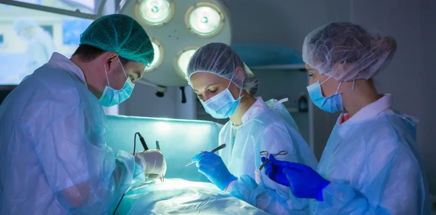Η πρώτη στον κόσμο μεταμόσχευση ήπατος από χοίρο σε άνθρωπο! Η πρώτη στον κόσμο μεταμόσχευση ήπατος από χοίρο σε άνθρωπο!