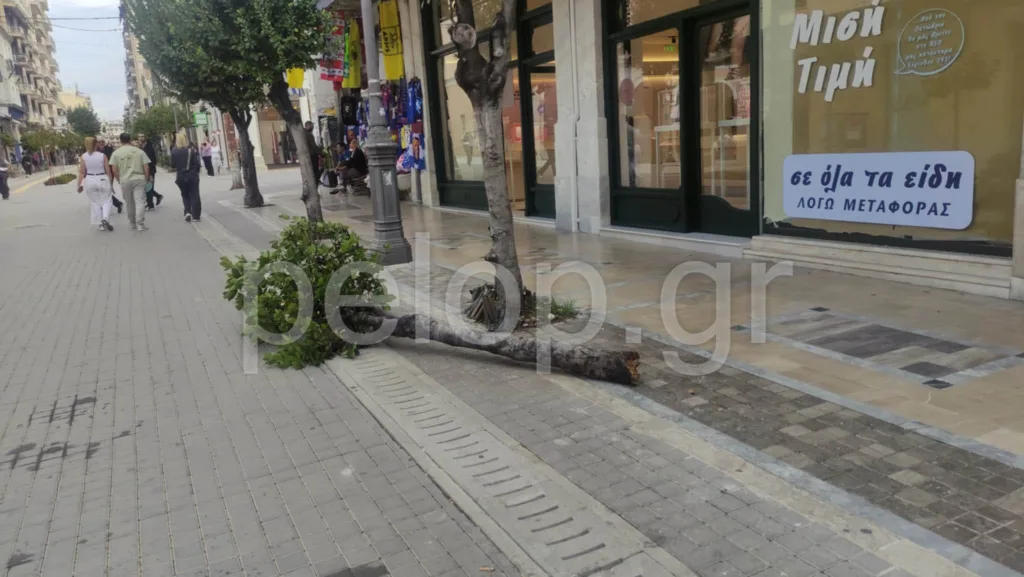 Πάτρα: Βανδαλισμοί και ασυδοσία στον πεζόδρομο της Μαιζώνος ΑΠΟΚΑΛΥΠΤΙΚΕΣ ΦΩΤΟ - ΒΙΝΤΕΟ