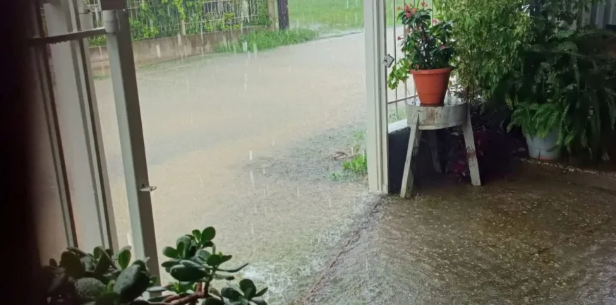 Μεσολόγγι: Ξυλοκόπησαν δημοτικό υπάλληλο, επιχειρούσε στις πλημμύρες ΦΩΤΟ Μεσολόγγι: Ξυλοκόπησαν δημοτικό υπάλληλο, επιχειρούσε στις πλημμύρες ΦΩΤΟ