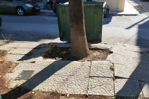 Προσοχή, κίνδυνος στο Πάρκο Καλλιόπης-Αραξου