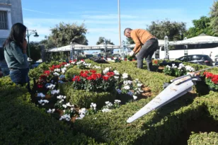 Πάτρα: Το άνθινο ρολόι έγινε ξανά άνθινο – Φύτεψε λουλούδια ο Δήμος