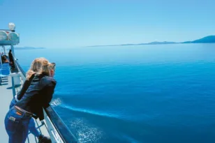 Λήγει σήμερα η προθεσμία αιτήσεων για το North Evia Pass 2025: Πώς θα αποκτήσετε το voucher των 150 ευρώ Λήγει σήμερα η προθεσμία αιτήσεων για το North Evia Pass 2025: Πώς θα αποκτήσετε το voucher των 150 ευρώ