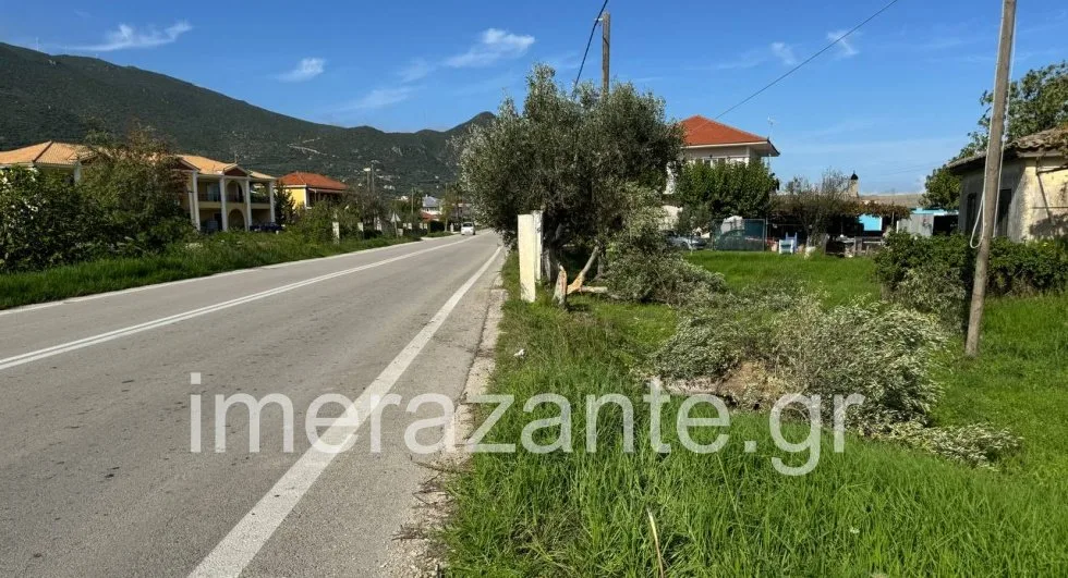 Τραγωδία στη Ζάκυνθο: 48χρονος Βρετανός σκοτώθηκε όταν το αυτοκίνητό του έπεσε σε ελιές ΦΩΤΟ Τραγωδία στη Ζάκυνθο: 48χρονος Βρετανός σκοτώθηκε όταν το αυτοκίνητό του έπεσε σε ελιές ΦΩΤΟ