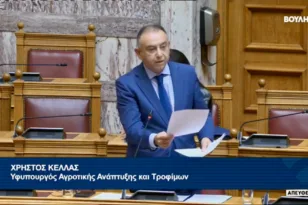 Κέλλας στη Βουλή: «Δεν υπάρχει αδειοδοτημένο εμβόλιο κατά της ευλογιάς σε Ελλάδα και Ευρώπη»