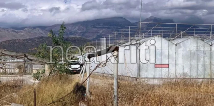 Κρήτη: Ξήλωσαν μεγάλη χασισοφυτεία στη Μεσσαρά με πάνω από 1.000 δενδρύλλια κάνναβης