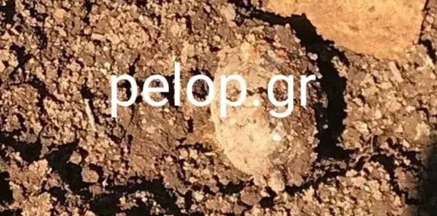 Ζαχάρω: Βρήκε στο χωράφι του χειροβομβίδα! Ζαχάρω: Βρήκε στο χωράφι του χειροβομβίδα!