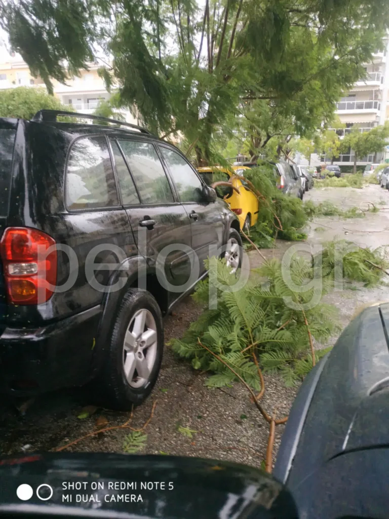 Ισχυρή ανεμοθύελλα στο κέντρο της Πάτρας: Έσπασαν τζαμαρίες και κλαριά δέντρων ΦΩΤΟ Ισχυρή ανεμοθύελλα στο κέντρο της Πάτρας: Έσπασαν τζαμαρίες και κλαριά δέντρων ΦΩΤΟ
