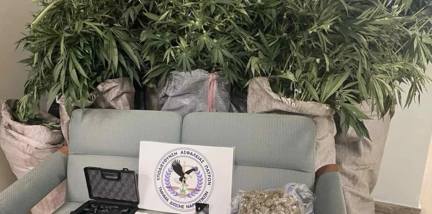 Πάτρα: «Μονάδα» ινδικής κάνναβης στο Γλαύκο - Πώς η ΕΛΑΣ εντόπισε τον ειδικά διαμορφωμένο χώρο