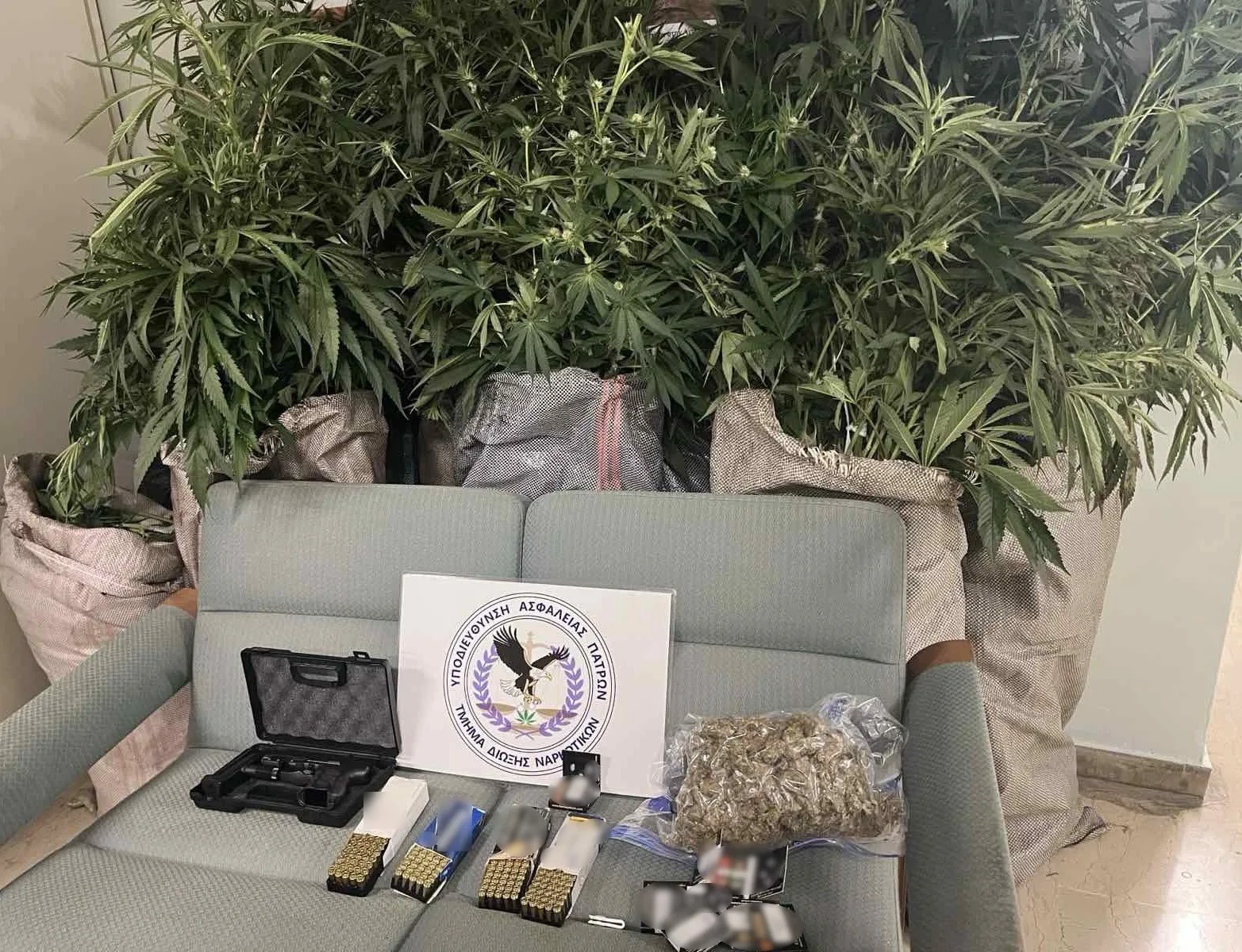 Πάτρα: «Μονάδα» ινδικής κάνναβης στο Γλαύκο - Πώς η ΕΛΑΣ εντόπισε τον ειδικά διαμορφωμένο χώρο