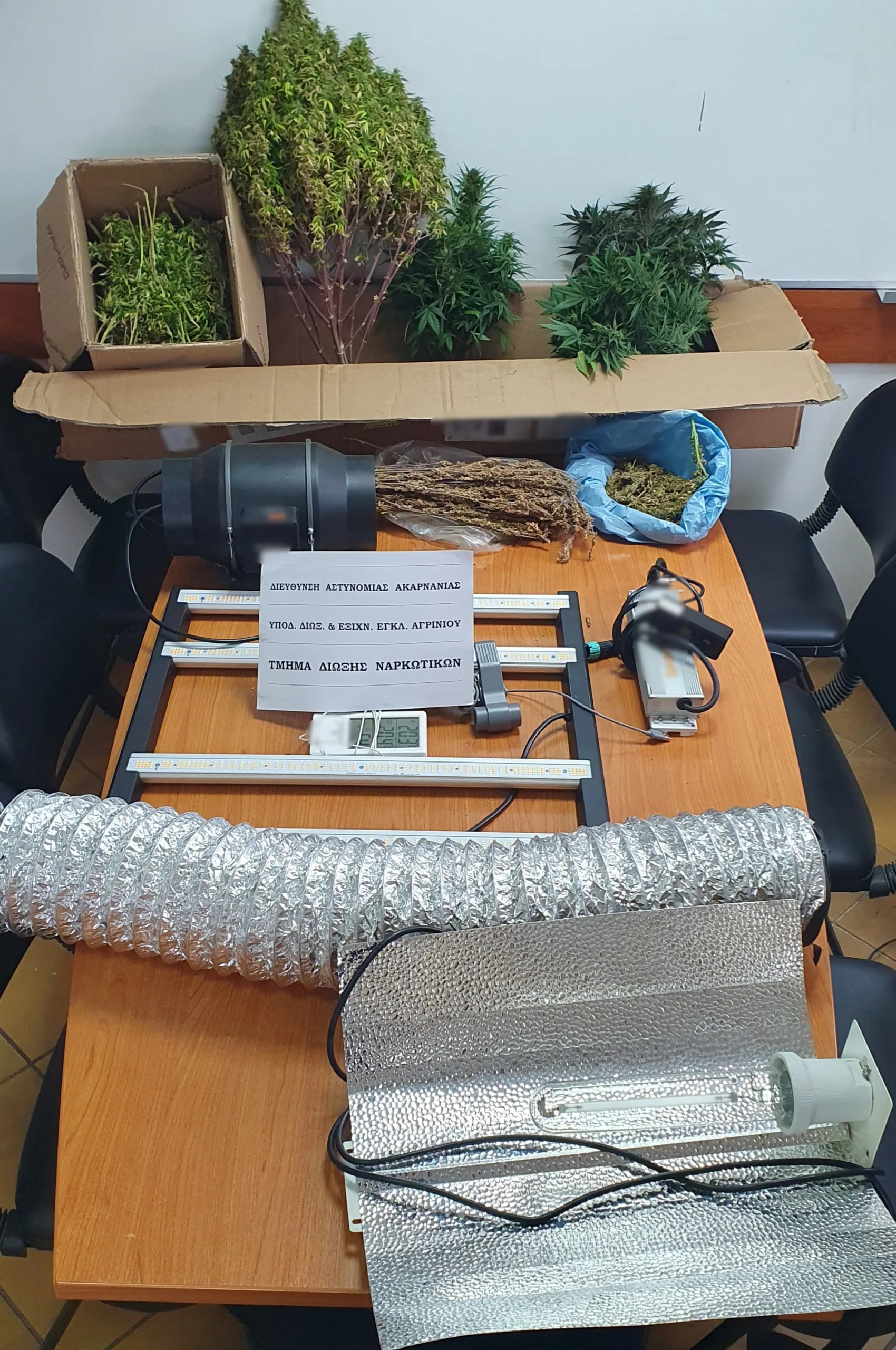 Αγρίνιο: Σύλληψη δύο ανδρών για υδροπονική καλλιέργεια κάνναβης – Αναζητείται συνεργός ΦΩΤΟ