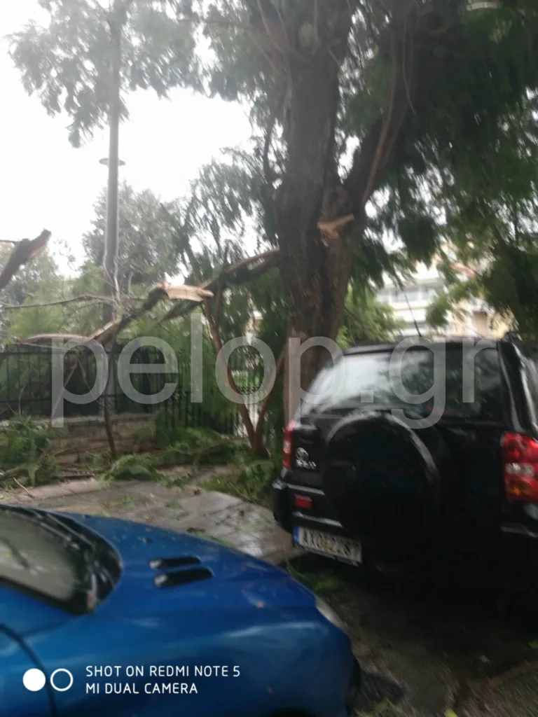 Ισχυρή ανεμοθύελλα στο κέντρο της Πάτρας: Έσπασαν τζαμαρίες και κλαριά δέντρων ΦΩΤΟ