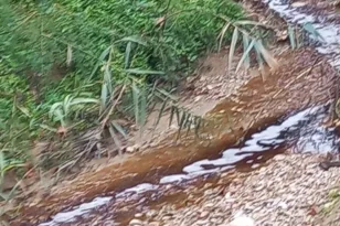 «Η Ξερόλακκα δεν είναι η πίσω αυλή της Πάτρας» – Καταγγελία κατοίκων για ανεξέλεγκτη ροή απορριμμάτων στον ΧΥΤΑ