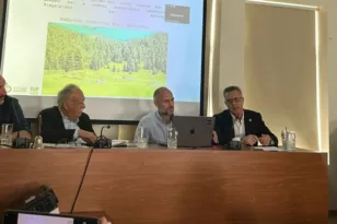 Καλάβρυτα: SOS από τα ελατοδάση – Η ημερίδα έδειξε το δρόμο για το ανησυχητικό φαινόμενο