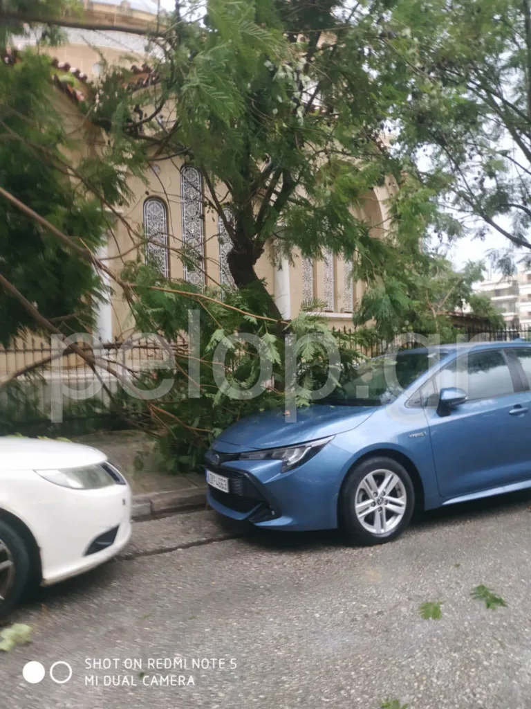 Ισχυρή ανεμοθύελλα στο κέντρο της Πάτρας: Έσπασαν τζαμαρίες και κλαριά δέντρων ΦΩΤΟ