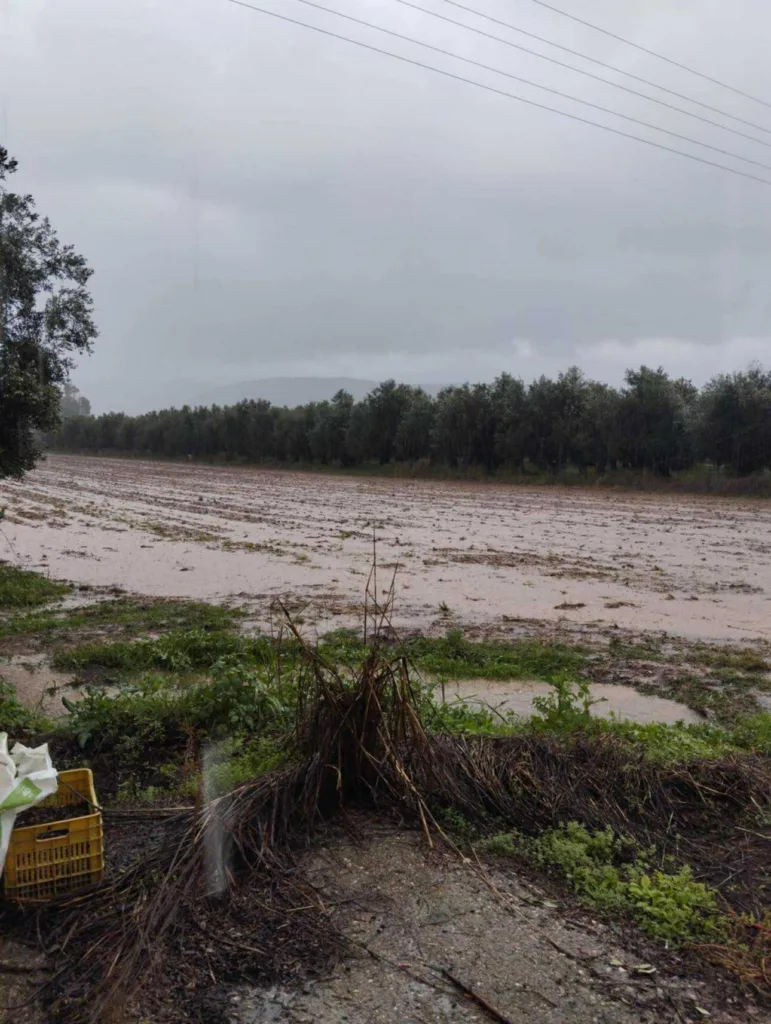 Η κακοκαιρία «χτυπά» την Αιτωλοακαρνανία: Πλημμυρισμένοι δρόμοι και προειδοποιήσεις για νέο κύμα από την Κυριακή ΦΩΤΟ-ΒΙΝΤΕΟ