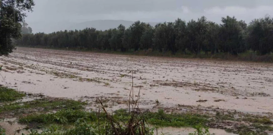 Η κακοκαιρία «χτυπά» την Αιτωλοακαρνανία: Πλημμυρισμένοι δρόμοι και προειδοποιήσεις για νέο κύμα από την Κυριακή ΦΩΤΟ-ΒΙΝΤΕΟ