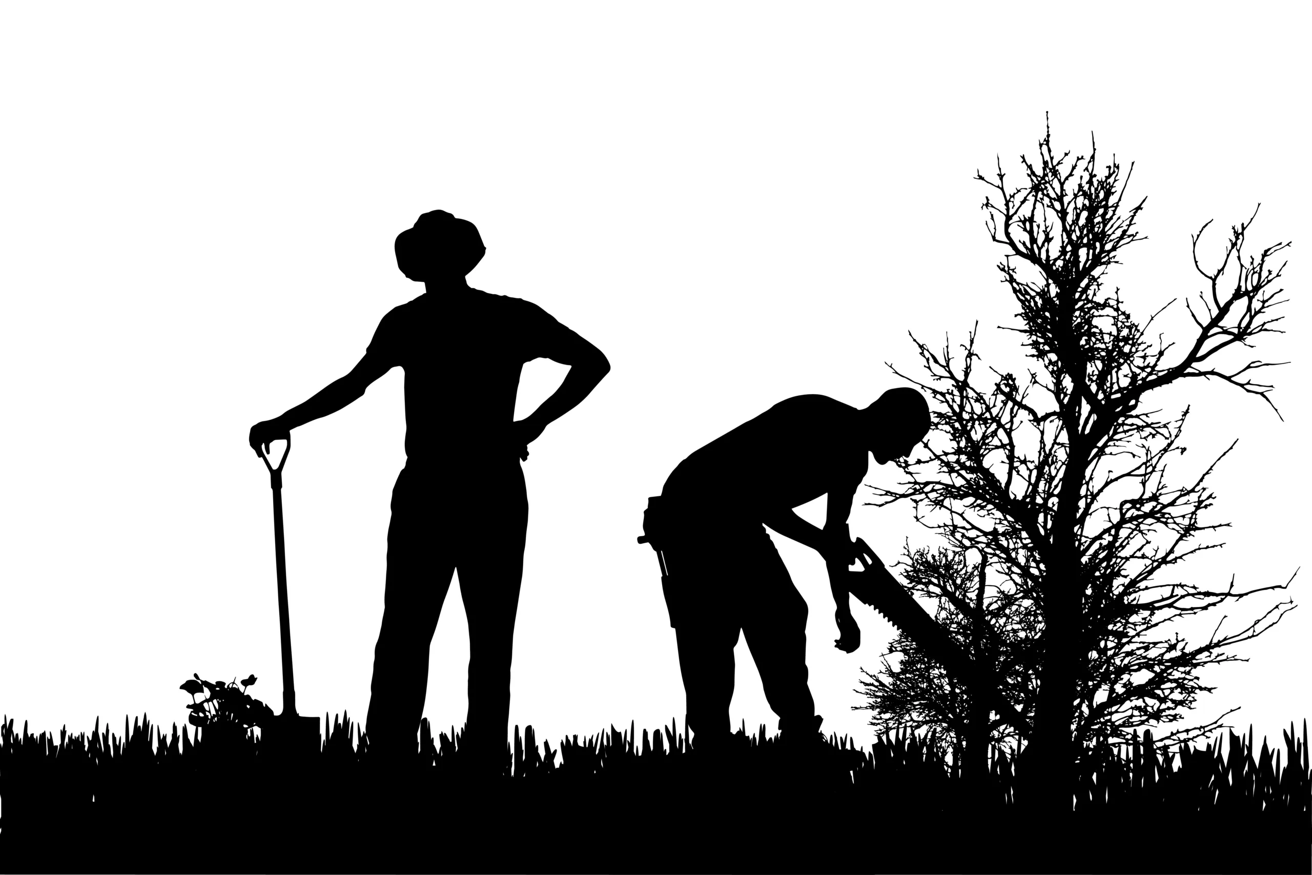 Νεοχώρι Μεσολογγίου: Πολλές προσαγωγές για εκμετάλλευση εργατών γης Νεοχώρι Μεσολογγίου: Πολλές προσαγωγές για εκμετάλλευση εργατών γης