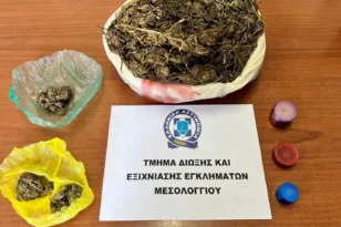 Αγρίνιο: Μισό κιλό κάνναβης εντόπισε ο «Sporty» – Συνελήφθη άνδρας για διακίνηση