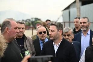 Ν. Ανδρουλάκης: Με ευθύνη Μητσοτάκη η γαλάζια συμμορία κατάκλεψε τον ΟΠΕΚΕΠΕ