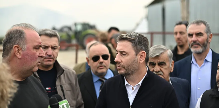 Ν. Ανδρουλάκης: Με ευθύνη Μητσοτάκη η γαλάζια συμμορία κατάκλεψε τον ΟΠΕΚΕΠΕ