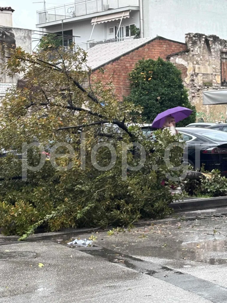 Ισχυρή ανεμοθύελλα στο κέντρο της Πάτρας: Έσπασαν τζαμαρίες και κλαριά δέντρων ΦΩΤΟ