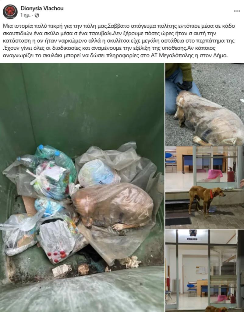 Σκύλος βρέθηκε ζωντανός μέσα σε τσουβάλι σε κάδο απορριμμάτων! Κτηνωδία στη Μεγαλούπολη