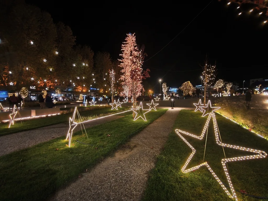 Τα Τρίκαλα φωταγώγησαν το υψηλότερο φυσικό χριστουγεννιάτικο δέντρο ΦΩΤΟ